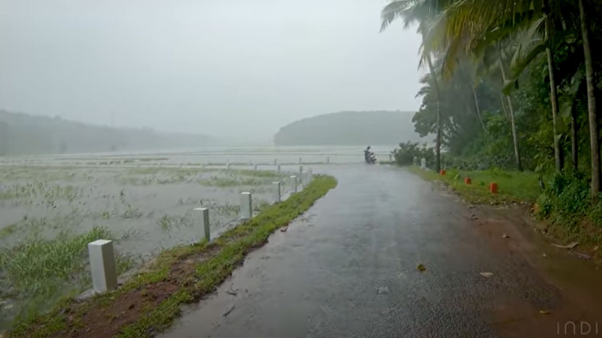 ⁣جمال صوت المطر - أصوات طبيعية Walking in Heavy Rain in paddy fields | Relaxing Kerala Monsoon rain