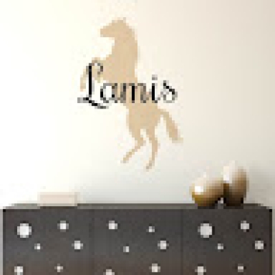 Lamis Alshurbaji