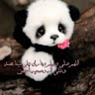 H. Ahmed