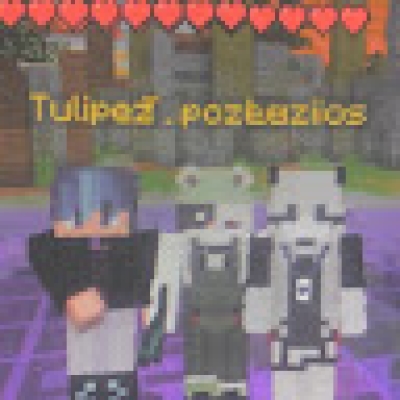 VV Vv